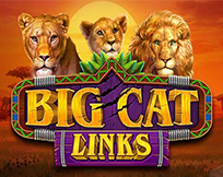 Big Cat Links